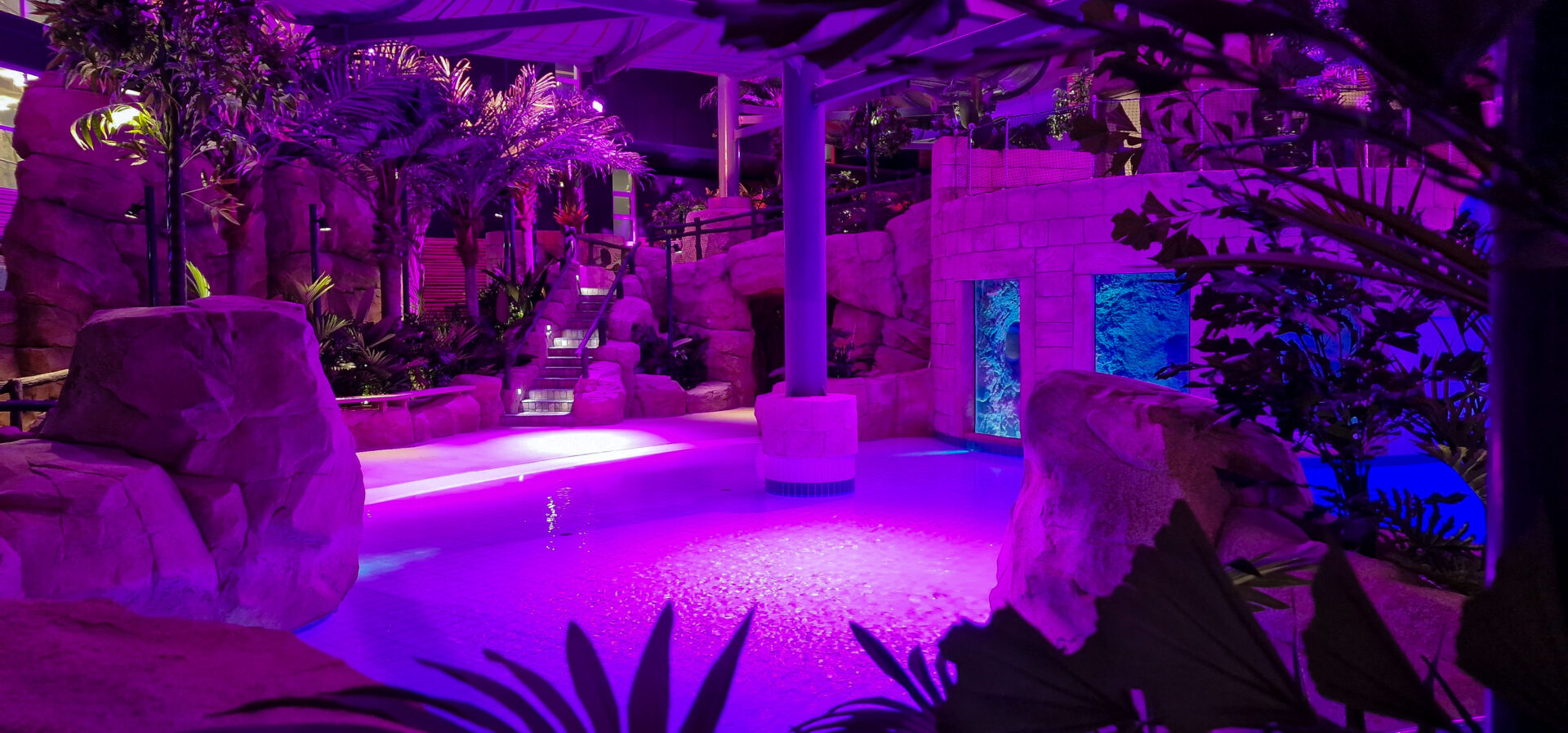 A tropical indoor pool area is illuminated with vibrant purple and blue lights, surrounded by artificial rocks, lush plants, and stairways, creating a relaxing and exotic atmosphere.