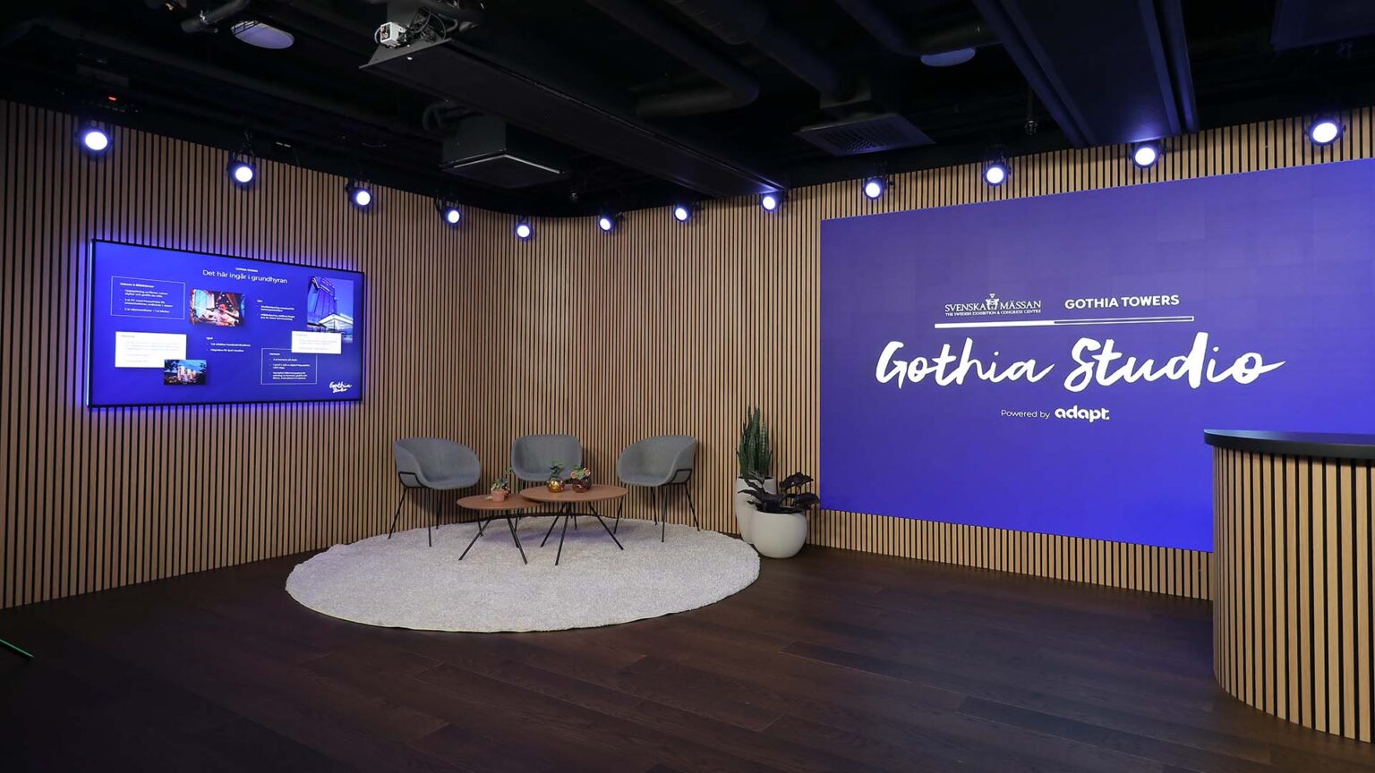 A modern studio space with wood-paneled walls, two grey chairs and a small table on a round rug, plants, a large screen displaying Gothia Studio, and another screen showing multimedia content.