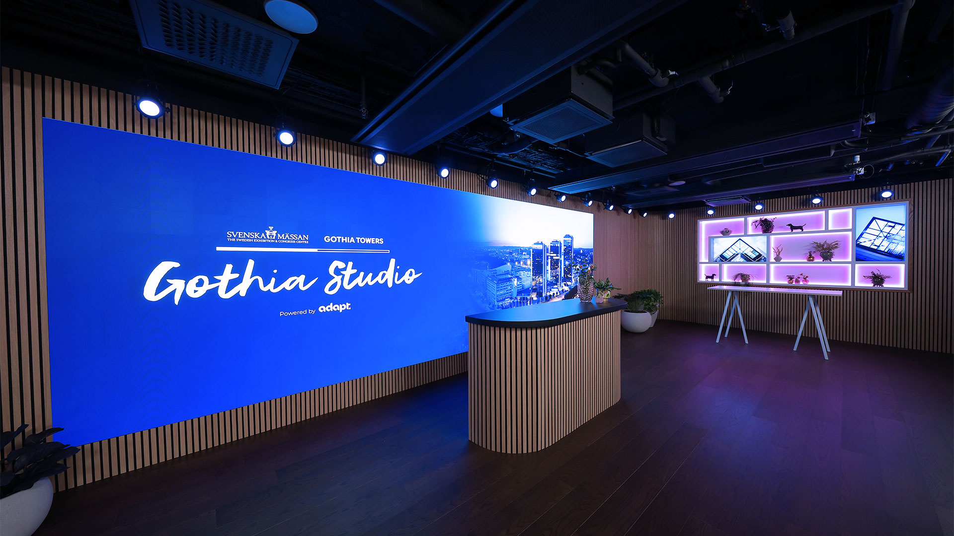 A modern studio with a large blue digital screen displaying Gothia Studio and city graphics, a curved wooden desk, potted plants, and shelves with illuminated decorative items on a dark wooden floor.
