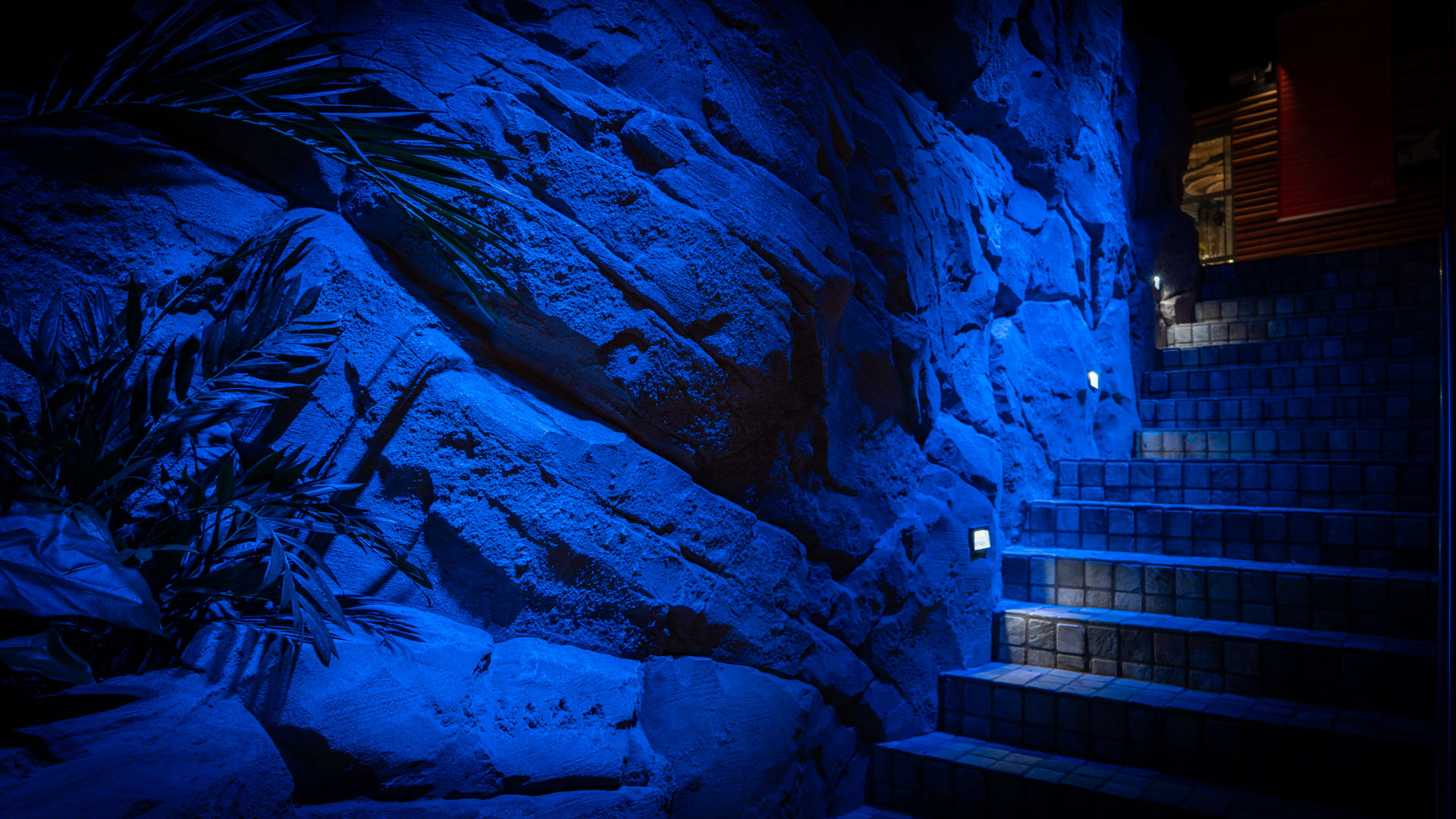 Stone steps lead upward next to a rocky wall illuminated by vibrant blue lighting, with tropical plants visible on the left side of the image.